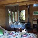 Fío Fío Patagonia
