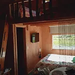 Fío Fío Patagonia