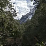 Fío Fío Patagonia