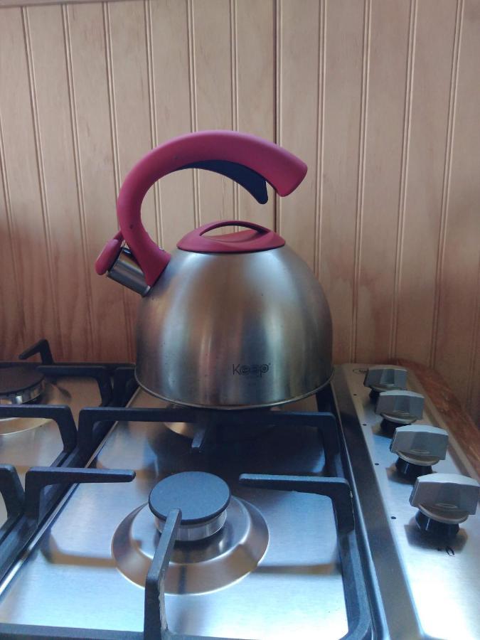 Fio Fio Patagonia Apartment Chaiten